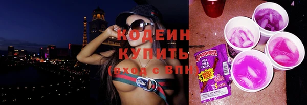 индика Вязники