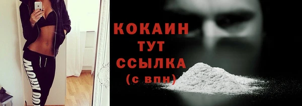 mdpv Вяземский
