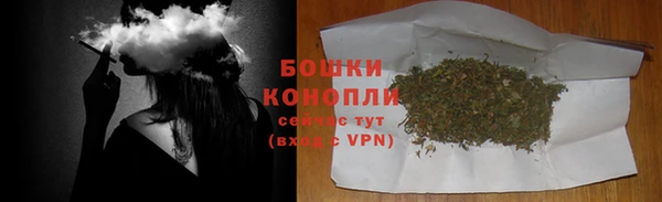 mdpv Вяземский