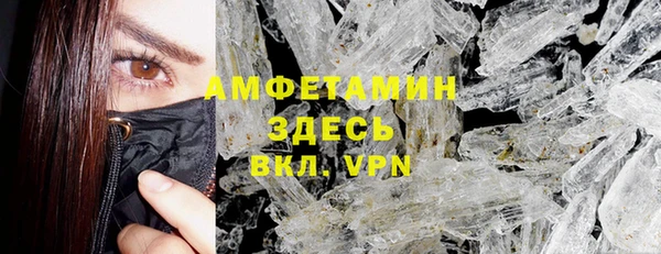 индика Вязники