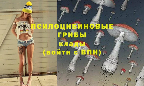 индика Вязники
