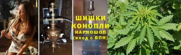 индика Вязники