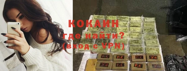 индика Вязники